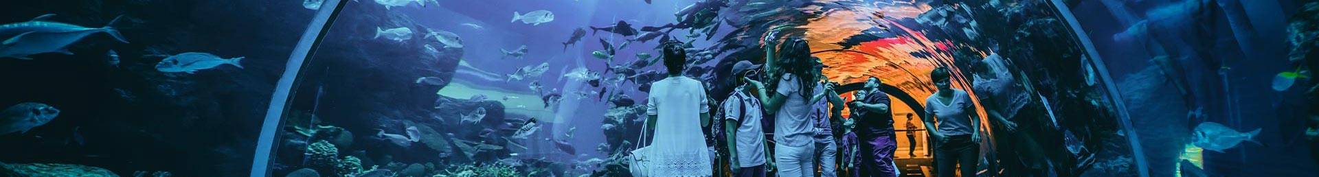 Aquariums
