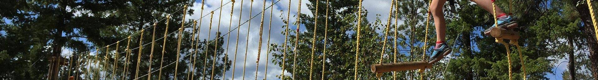 Accrobranche - Grimpe d'arbres