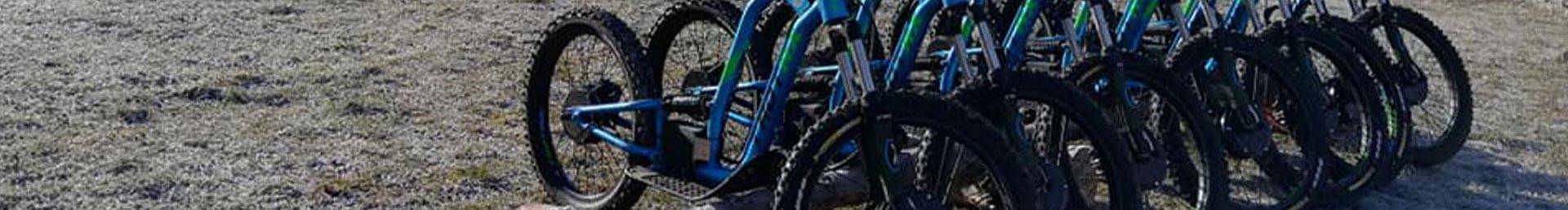 Trottinette électrique