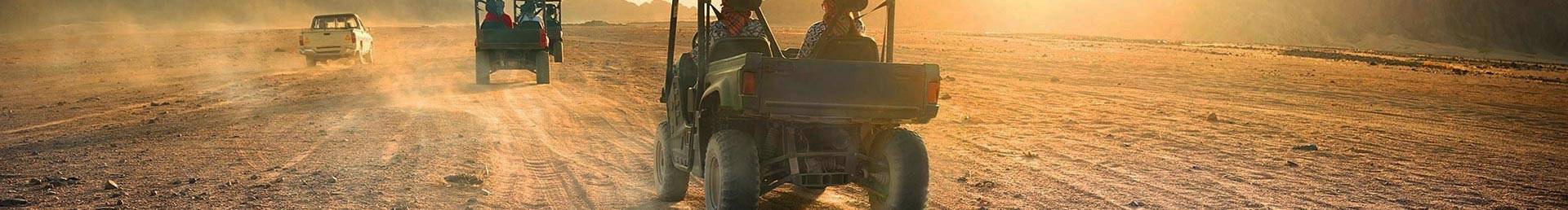 Buggy
